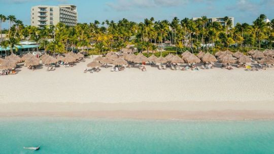 aruba-invita-a-vivir-el-turismo-responsable-en-su-territorio