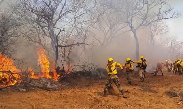 defensoria-articula-acciones-para-prevenir-incendios-forestales