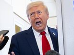 seething-republicans-unload-on-trump-as-he-snubs-the-economy-and-fuels-midterm-panic:-‘we’re-begging’