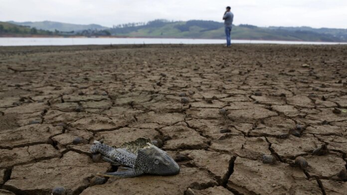 duchas-de-4-minutos-y-riego-de-jardines-al-amanecer:-medidas-urgentes-que-piden-las-autoridades-para-enfrentar-el-fenomeno-de-el-nino-en-el-valle