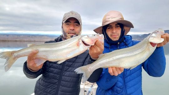 los-pejerreyes-gigantes-de-san-juan-que-atraen-pescadores-de-todo-el-pais