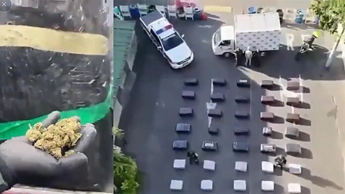 ‘kamikaze’:-asi-es-la-modalidad-criminal-utilizada-por-los-narcos-para-mover-toneladas-de-marihuana-en-el-valle