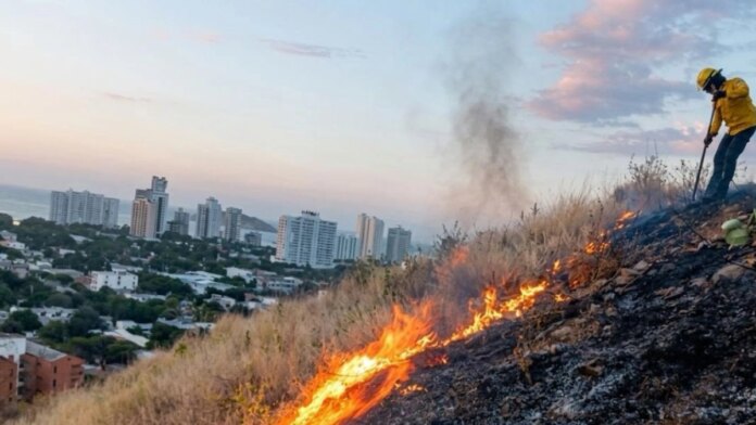 santa-marta-rompe-record-de-temperaturas-y-el-calor-extremo-obliga-a-declarar-calamidad-publica:-se-encienden-alertas-por-salud,-agua-e-incendios
