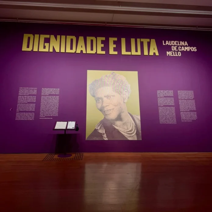 brasil-convierte-a-sus-trabajadoras-domesticas-en-heroinas-del-arte-y-la-memoria