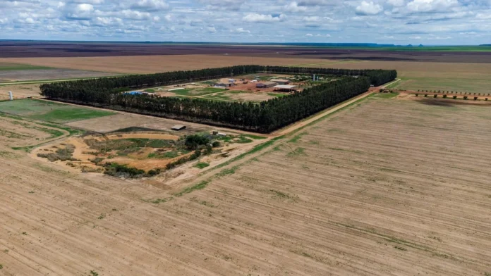 cosan-vende-345-millones-de-dolares-de-tierras-agricolas-para-reducir-su-gran-deuda