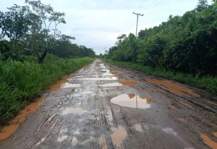 productores-de-tucupita-navegan-a-remo-hasta-tres-horas-para-salvar-sus-cosechas-ante-el-abandono-vial