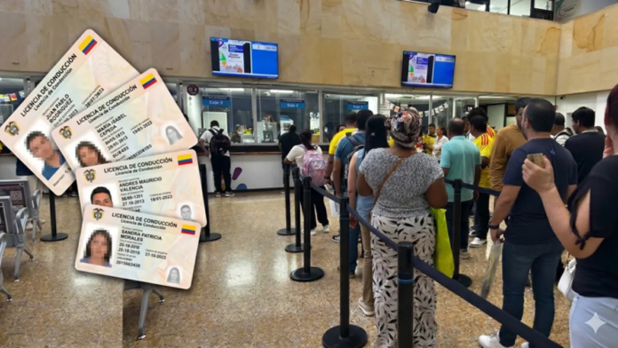 cali-alcanza-14000-renovaciones-de-licencias-y-el-valle-del-cauca-reporta-mas-de-204.000-vehiculos-en-mora-de-impuestos