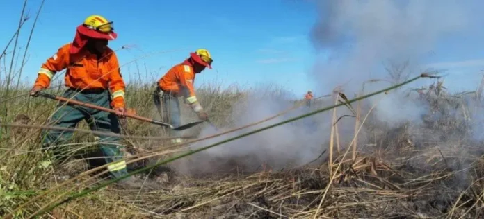 santa-cruz:-rige-alerta-amarilla-por-riesgo-de-incendios-forestales