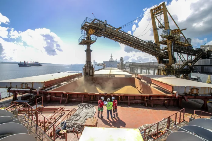 el-proyecto-portuario-mas-grande-de-brasil-esta-casi-terminado.-puede-permanecer-inactivo