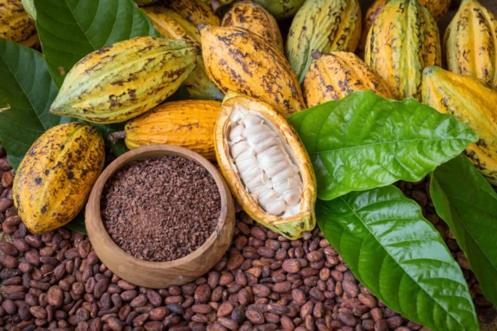nutresa-compra-icono-del-chocolate-de-ecuador-a-pesar-de-la-guerra-comercial-con-colombia
