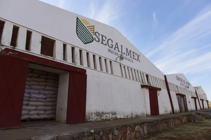 segalmex:-mexico-multa-a-exfuncionarios-con-40-millones-de-dolares-por-su-mayor-escandalo-de-corrupcion