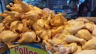 avicultores-anticipan-subida-del-precio-del-pollo-y-baja-oferta