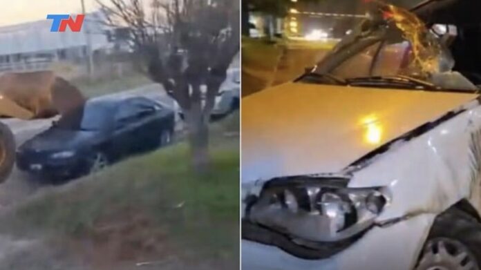 locura-en-entre-rios:-se-puso-a-manejar-una-retroexcavadora-borracho-despues-del-partido,-choco-siete-vehiculos-y-dejo-dos-heridos
