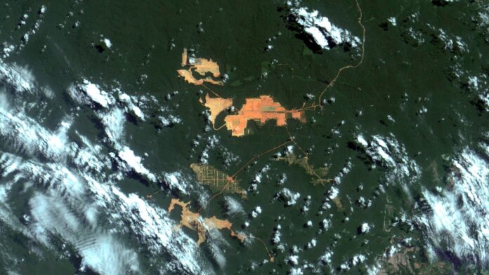 el-estado-amazonico-ganara-uno-de-cada-cinco-dolares-mineros-de-brasil