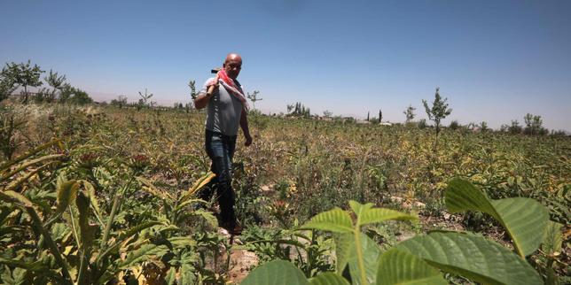 en-siria,-mas-13-millones-de-personas-en-situacion-de-«inseguridad-alimentaria-constante»