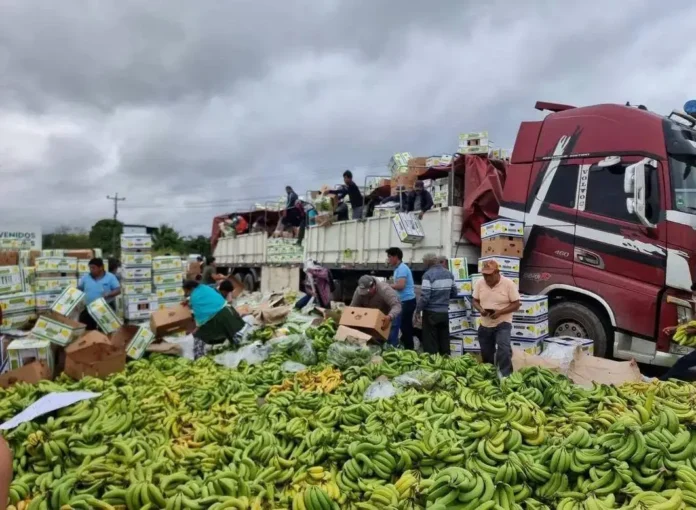 bananeros-reportan-$us-8-mm-de-perdidas-por-los-bloqueos