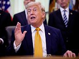 six-reflecting-pool-‘vandals’-arrested-as-trump-complains-of-‘350-foot-gash’-and-chemical-attacks-on-remodeled-dc-icon