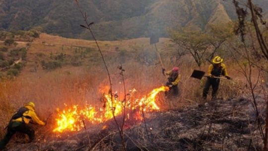 refuerzan-el-combate-aereo-y-terrestre-para-frenar-los-incendios-en-cafayate