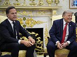 nato-chief-mark-rutte-slammed-for-excessive-‘bootlickin’-over-‘daddy’-trump’s-handling-of-iran-war