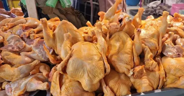 falta-de-diesel-impide-traslado-de-pollo-excedentario-desde-santa-cruz