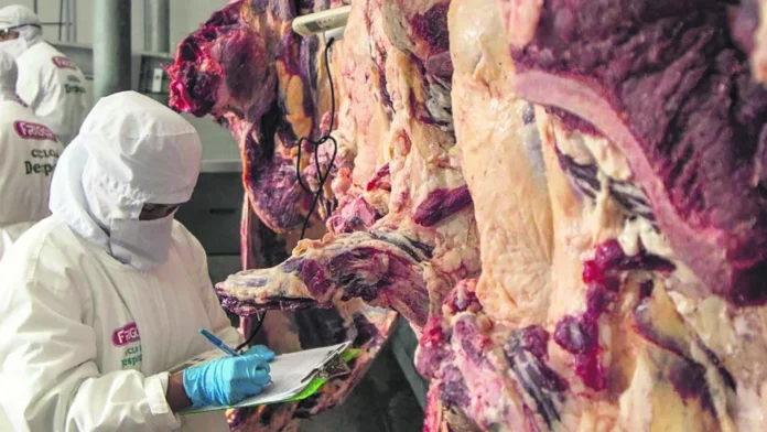 evaluan-frigorificos-crucenos-para-habilitar-exportacion-a-chile