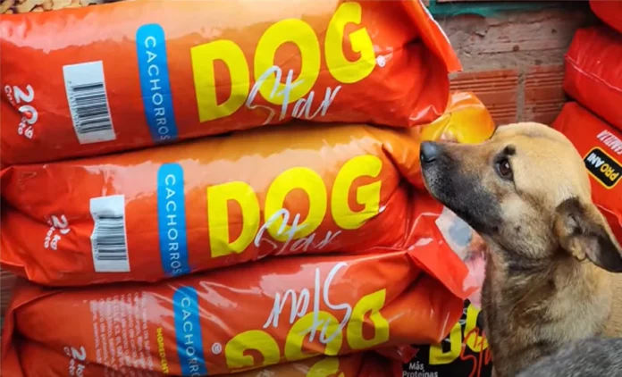 empresa-mi-rancho-dona-bolsas-de-croquetas-a-refugio-de-animales