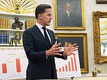 nato-chief-slammed-for-‘bootlickin’-trump-over-iran-war-handling
