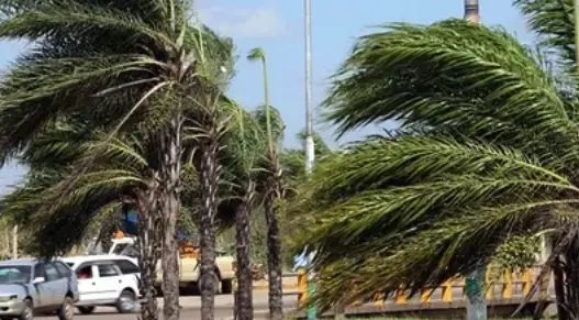 rige-alerta-naranja-por-vientos-moderados-a-fuertes-en-santa-cruz