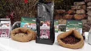 el-cafe-boliviano-supera-los-$us-17-millones-en-exportaciones
