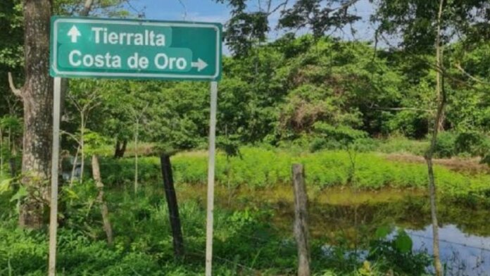 ‘las-denuncias-contra-el-egc-se-han-convertido-en-un-patron-que-ha-causado-muertes-en-la-region’:-fundacion-cordoberxia