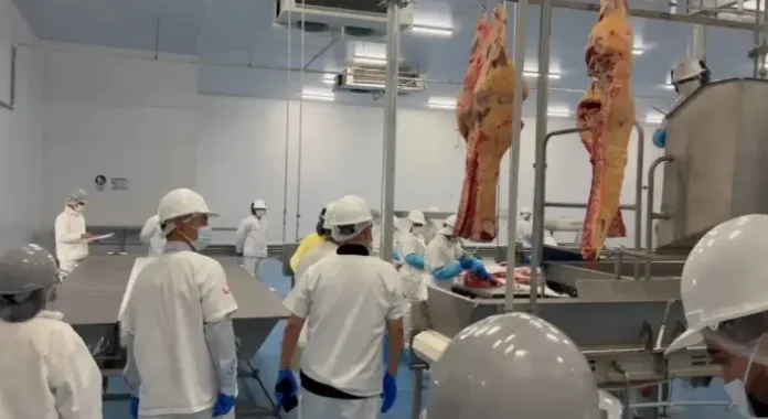 concluye-auditoria-sanitaria-y-bolivia-queda-mas-cerca-de-exportar-carne-a-chile