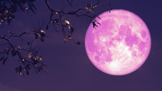 luna-de-fresa-2026:-¿cuando,-a-que-hora-y-desde-donde-ver-este-impactante-show-astral-en-la-argentina?