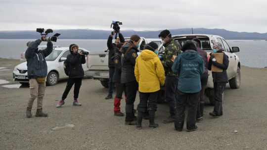 expertos:-detectan-hantavirus-en-tierra-del-fuego,-pero-no-hay-vinculo-con-el-brote-en-cruceros