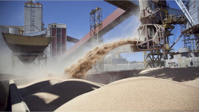 las-exportaciones-agroindustriales-alcanzaron-53-millones-de-toneladas-y-u$s22.383-millones-entre-enero-y-mayo