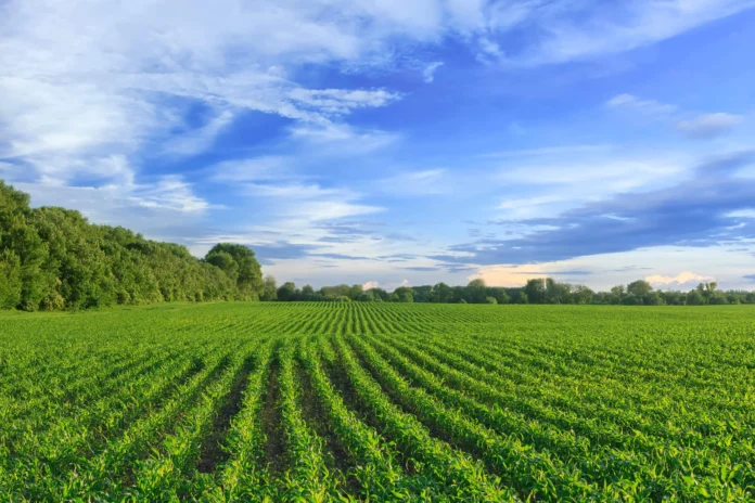 el-plan-de-credito-agricola-de-brasil-esta-por-debajo-de-lo-que-querian-los-agricultores