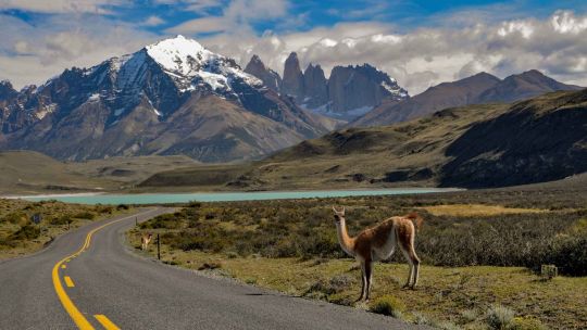 que-hacer-en-ushuaia:-excursiones-para-descubrir-el-fin-del-mundo