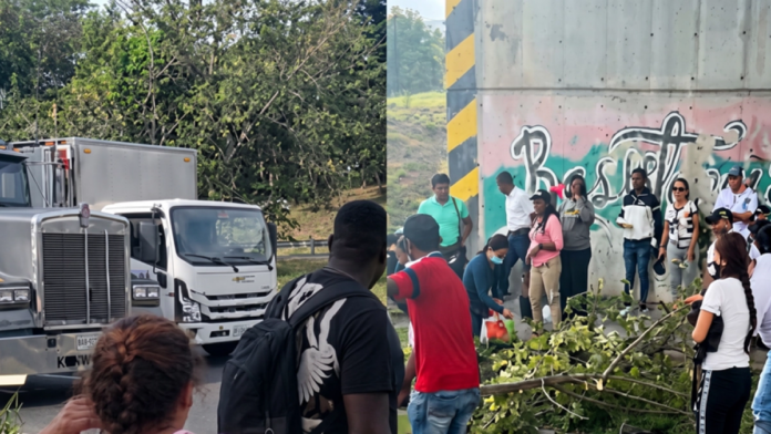 asi-fue-la-mesa-que-destrabo-bloqueos-en-vias-del-valle-del-cauca:-rutas-de-dialogo,-tierras-en-litigio-y-proteccion-para-lideres-amenazados