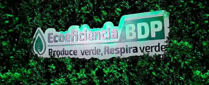 el-bdp-aporta-a-la-reactivacion-economica-con-refinanciamiento,-reprogramacion-de-creditos-y-capital-fresco