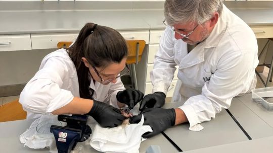 como-es-el-proyecto-que-une-a-cientificos-y-pescadores-para-proteger-el-rio-ctalamochita