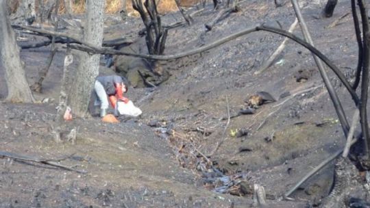 advierten-que-los-incendios-en-la-patagonia-danan-seriamente-el-agua-de-sus-arroyos-y-rios