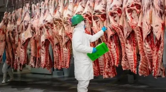 china-realiza-auditoria-a-frigorifico-cruceno-para-exportar-carne