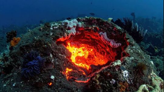hallan-bajo-el-mar-la-caldera-volcanica-mas-grande-del-mundo