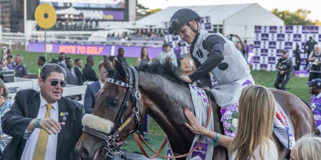 la-course-hippique-durban-july,-un-espejo-de-las-aspiraciones-multirraciales-y-de-las-fracturas-sociales-del-pais-«ascot-sud-africain»