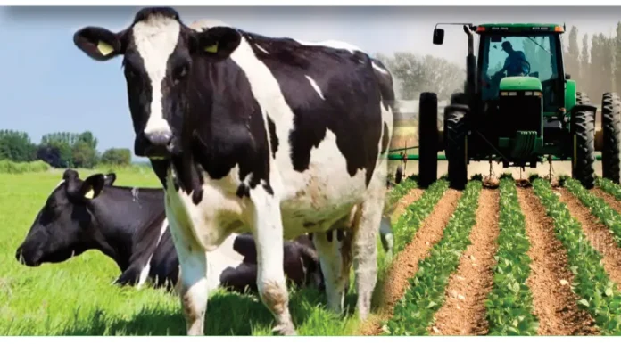 san-jose-se-alista-para-el-censo-agropecuario