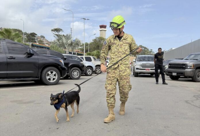 fenix,-la-perrita-rescatada-en-venezuela-que-ahora-salvara-vidas-en-el-salvador
