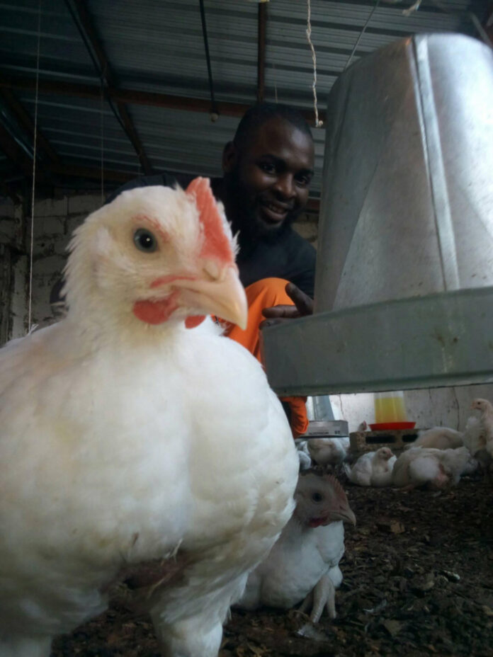 las-exportaciones-de-pollo-de-brasil-establecen-un-record-mientras-la-carne-vacuna-choca-contra-el-muro-de-china