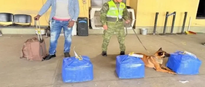 interceptan-mas-de-160-kilos-de-droga-en-aeropuerto-viru-viru