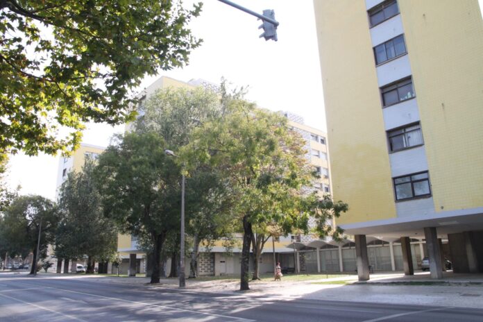 cury,-un-constructor-de-viviendas-brasileno,-tiene-un-banco-de-tierras-de-5.200-millones-de-dolares
