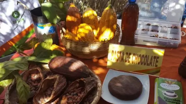 contratos-de-exportacion-de-cacao-en-riesgo-por-falta-de-diesel