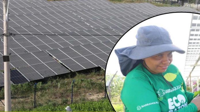 las-gardenias-estrena-la-primera-comunidad-energetica-de-barranquilla:-700-familias-tendran-alivio-en-la-factura-de-luz